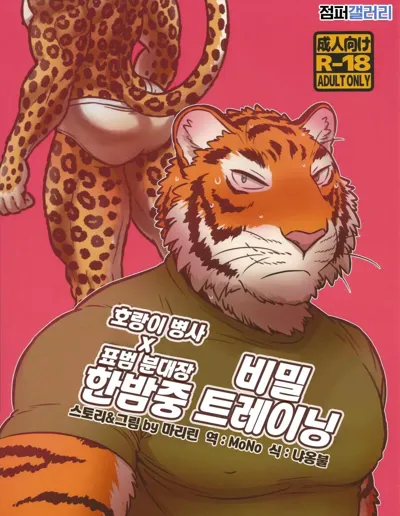 Yoru no Gokuhi Tokkun  | 비밀 한밤중 트레이닝's main title page