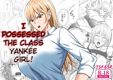 Class no Yankee Joshi ni Hyoui | I Possessed the Class Yankee Girl's main title page