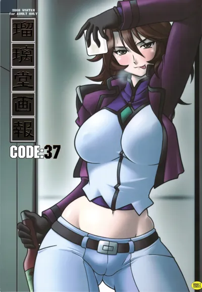 Ruridou Gahou CODE：37's main title page