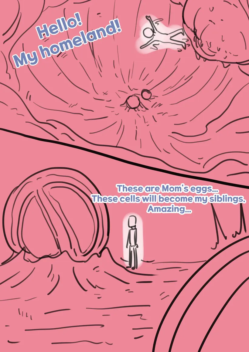 Exploration of the mother's uterus {by inside} | Page 87