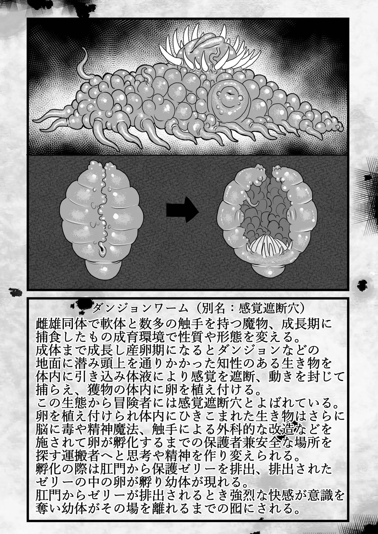 Frieren to Kankaku Shadan Ana | Page 34