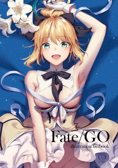 Fate/GO illustration fanbook's main title page