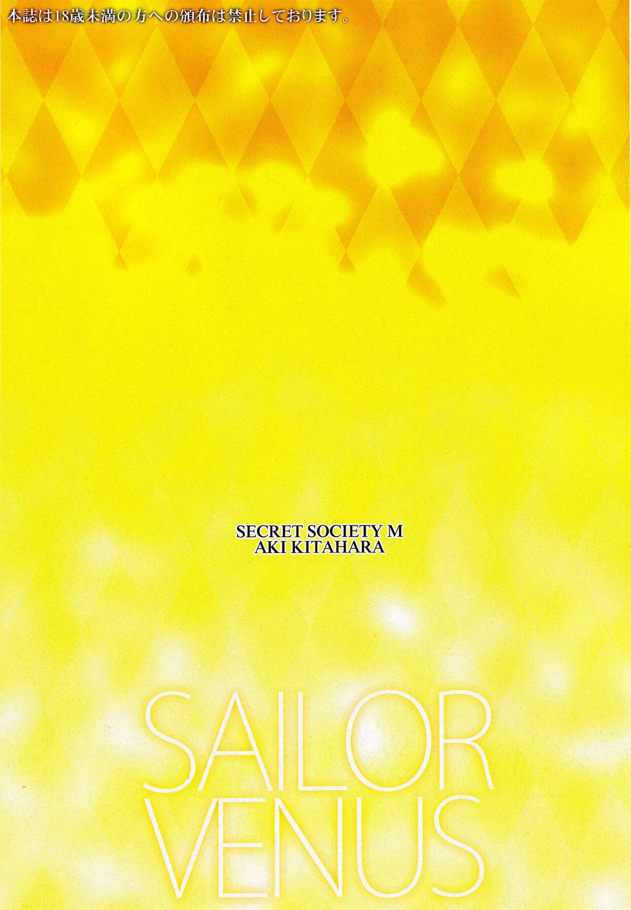 SAILOR VENUS | Page 10