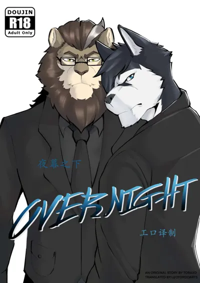 Overnight|夜幕之下  【工口译制】's main title page