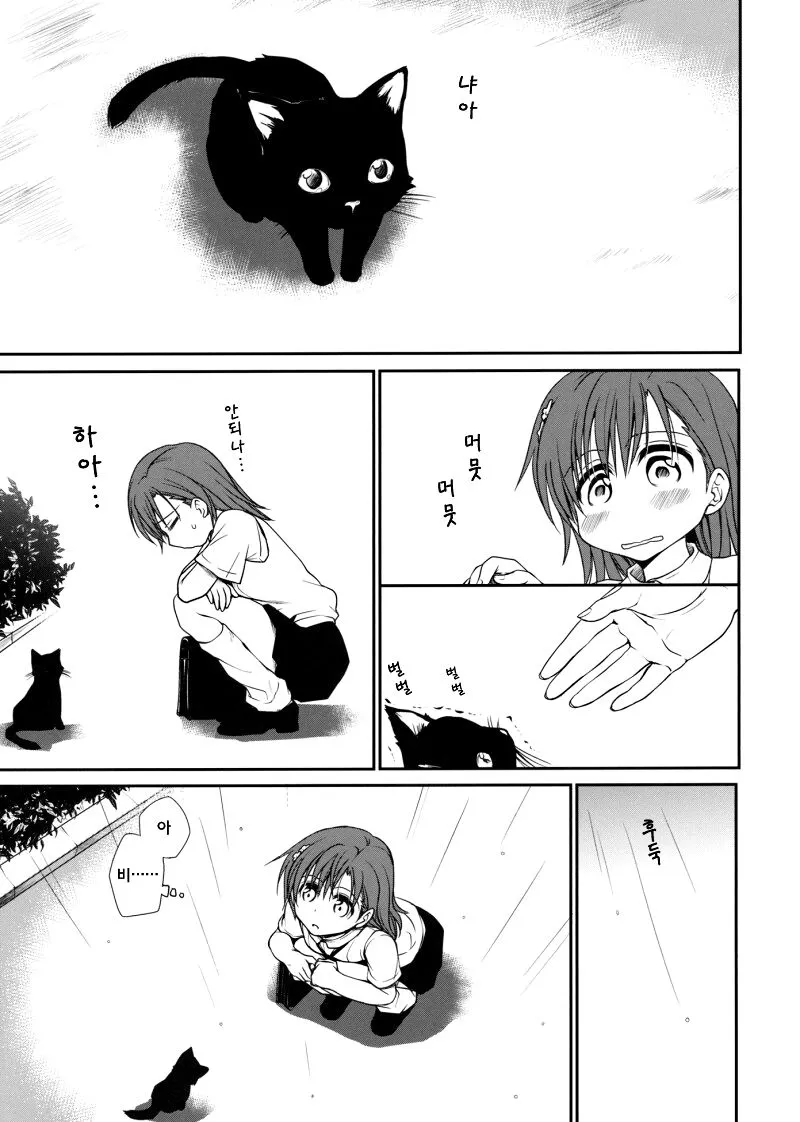 Railgun no Negaikata | 초전자포의 부탁하는법 | Page 2