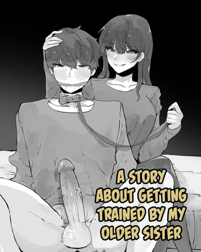 A Story About Getting Trained By My Older Sister's main title page