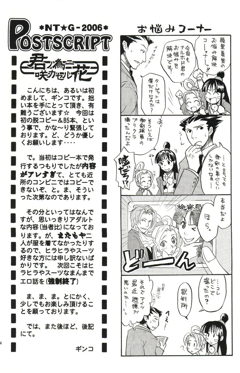 Ace Attorney DJ - Kimi no Tame | Page 3