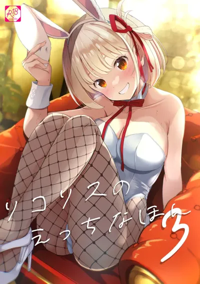 Lycoris no Ecchi na Hon 3's main title page