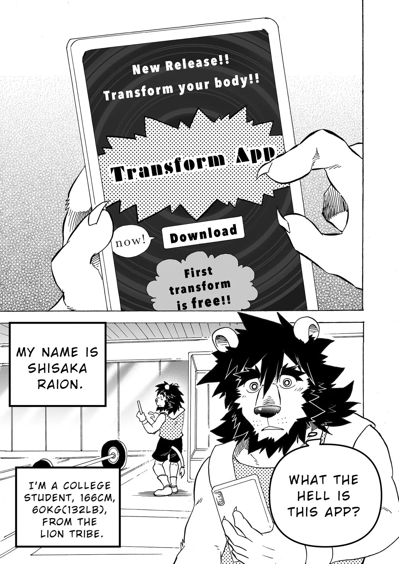 Transform App | Page 3