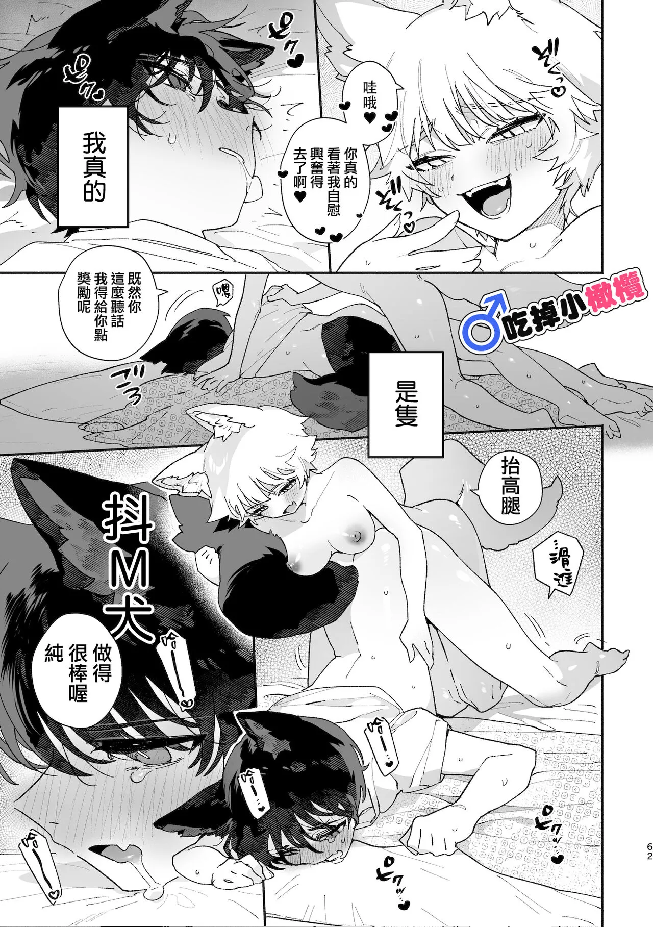 ♂ ga uke. Koyōte-chan × kai inu-kun｜♂吃掉甲斐犬。小郊狼X甲斐犬同学 | Page 62