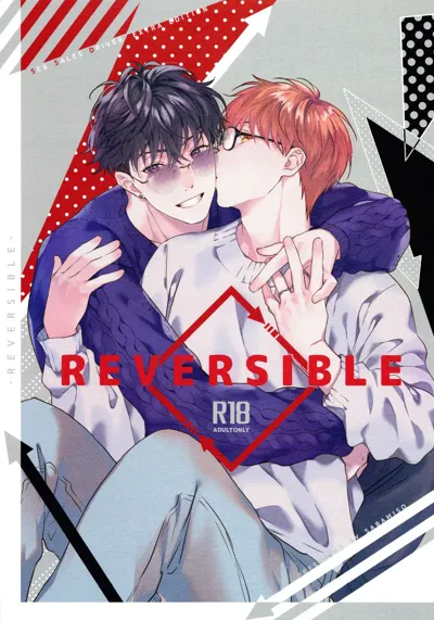 REVERSIBLE's main title page