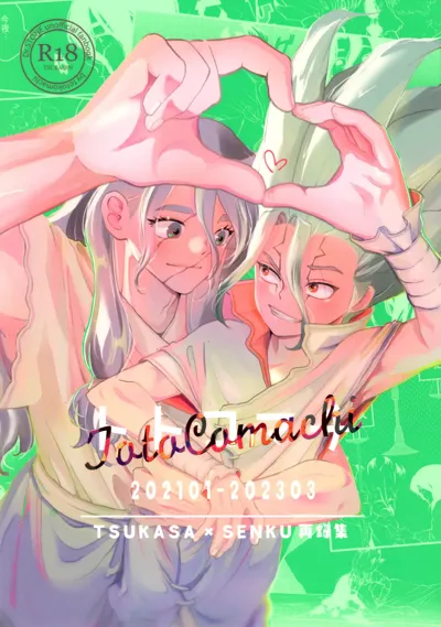 TotoComachi TsukasaSen Sairokushuu's main title page