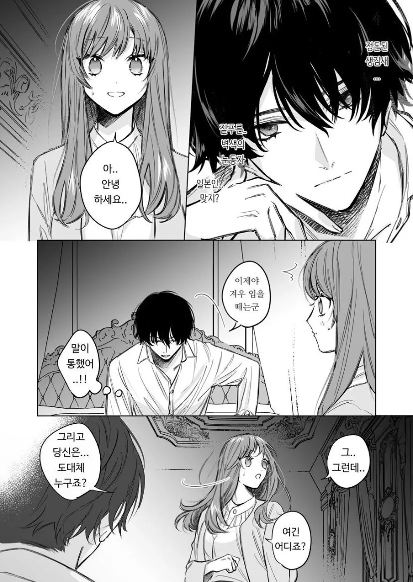 Reitetsu Ouji wa Dekiai no Soshitu ga Aru kamoshirenai | The Cold Hearted Prince May Yet Fall Madly in Love | Page 4