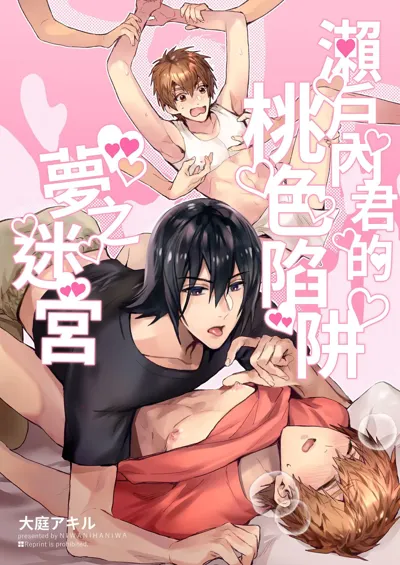 Setouchi-kun no Erotic Trap Dream Dungeon | 瀨戶內君的桃色陷阱夢之迷宮's main title page