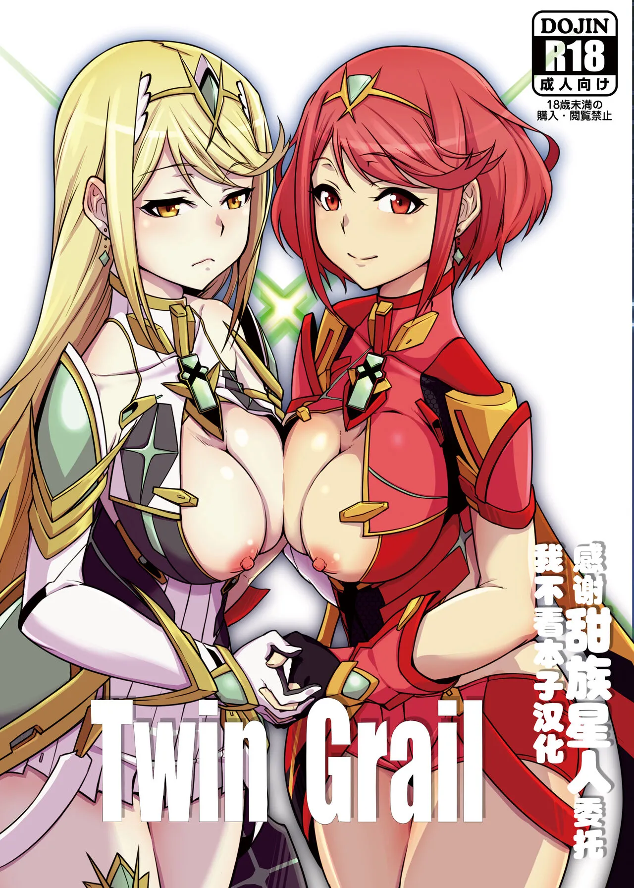 [Shiroi Yami (k-you)] Twin Grail (Xenoblade Chronicles 2) [Digital][Chinese] [甜族星人x我不看本子汉化]'s first page